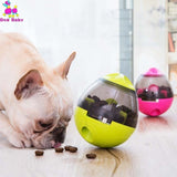 Bola tigela para alimentação do seu pet!!